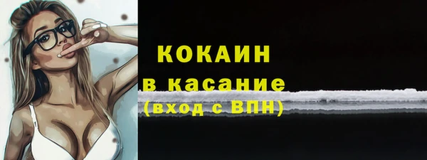 твердый Богородицк