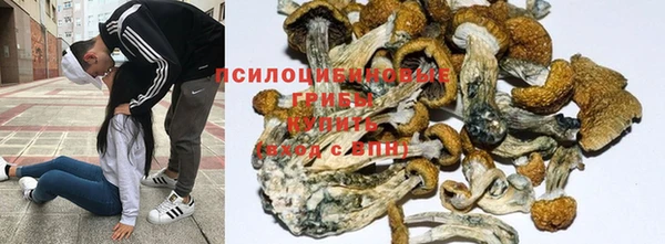 твердый Богородицк