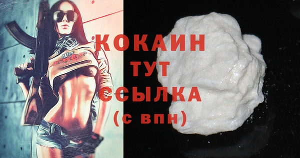 твердый Богородицк