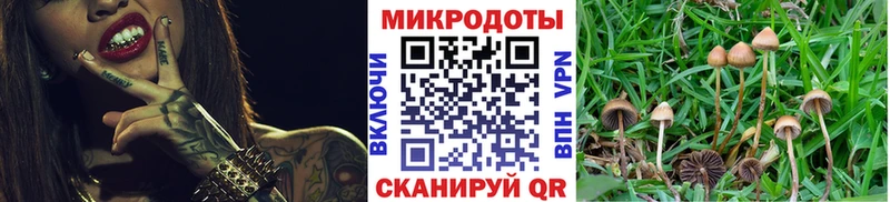 Галлюциногенные грибы Cubensis  наркота  Навашино 